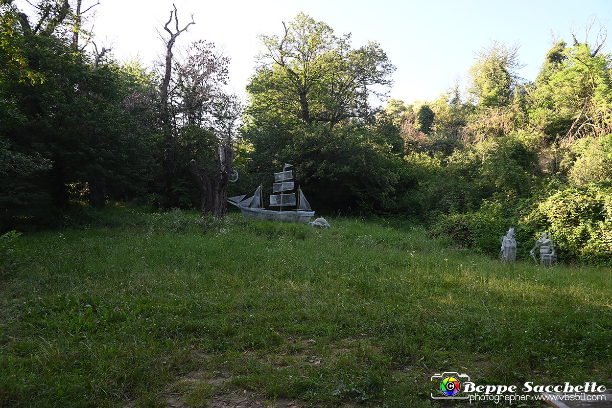 VBS_4900 - Il bosco fatato - Montaldo Roero.jpg